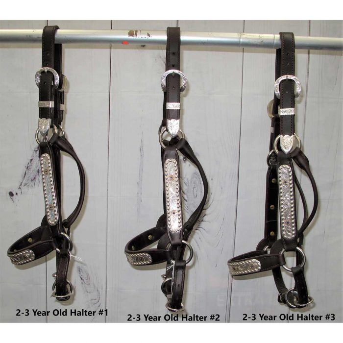 2-3 Year Old Halters